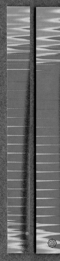 Back Edges (Left/Right)