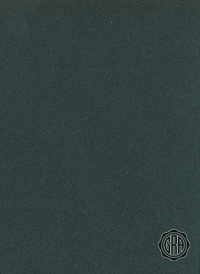 Back (Angled Light)