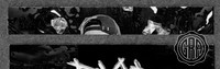 Front Edges (Top/Bottom)