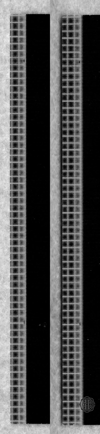 Back Edges (Left/Right)