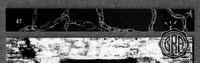 Back Edges (Top/Bottom)