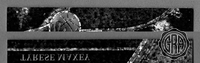 Back Edges (Top/Bottom)
