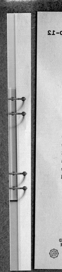 Back Edges (Left/Right)