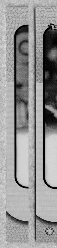 Front Edges (Left/Right)