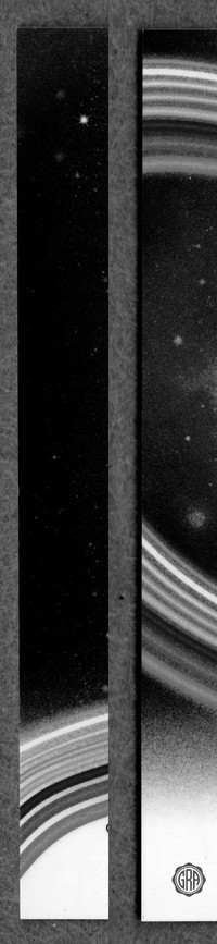Back Edges (Left/Right)