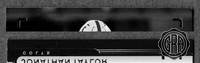 Front Edges (Top/Bottom)