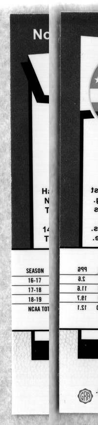 Back Edges (Left/Right)