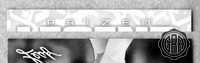 Front Edges (Top/Bottom)