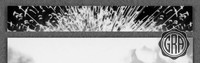 Back Edges (Top/Bottom)