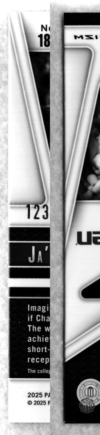 Back Edges (Left/Right)