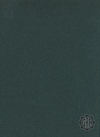 Back (Angled Light)