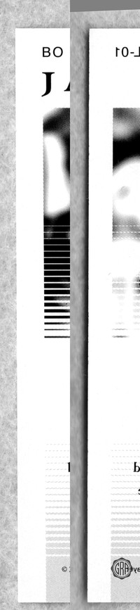 Back Edges (Left/Right)