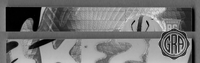 Front Edges (Top/Bottom)