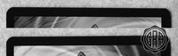 Back Edges (Top/Bottom)