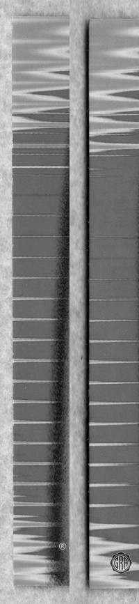 Back Edges (Left/Right)