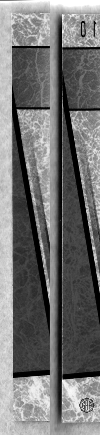 Back Edges (Left/Right)