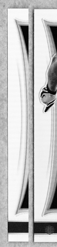 Front Edges (Left/Right)