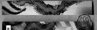 Back Edges (Top/Bottom)