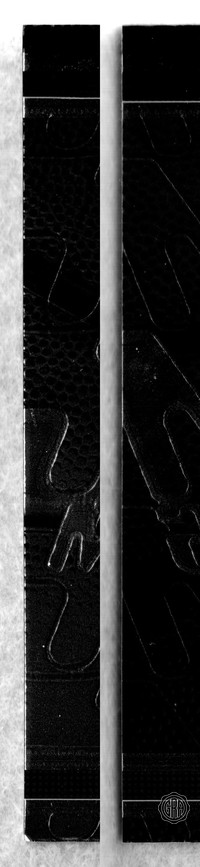 Front Edges (Left/Right)