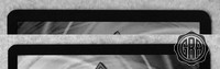 Back Edges (Top/Bottom)
