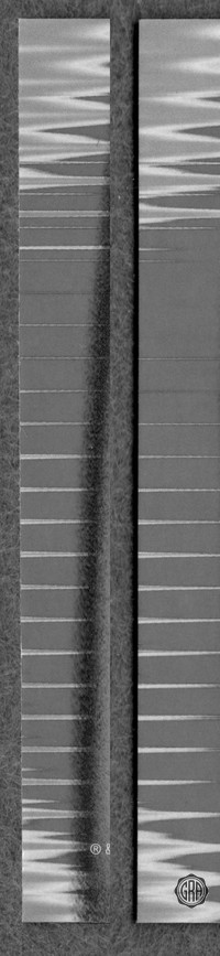 Back Edges (Left/Right)