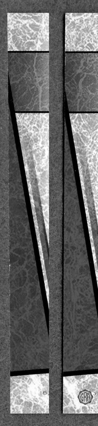 Back Edges (Left/Right)