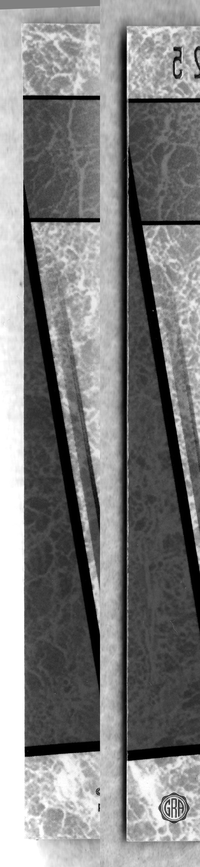 Back Edges (Left/Right)