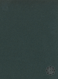 Front (Angled Light)