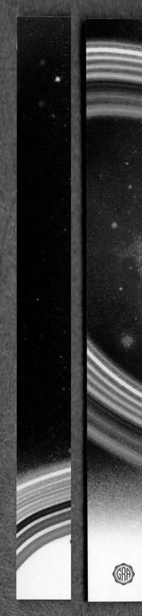 Back Edges (Left/Right)