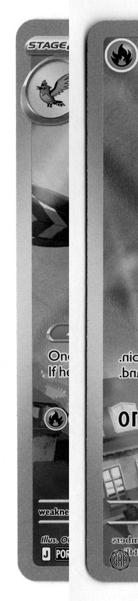 Front Edges (Left/Right)