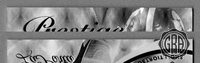 Front Edges (Top/Bottom)