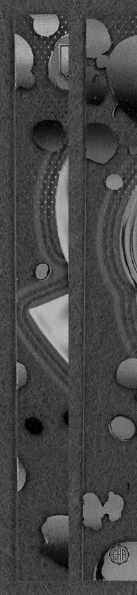 Back Edges (Left/Right)