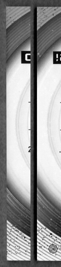 Back Edges (Left/Right)