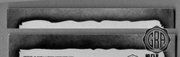 Back Edges (Top/Bottom)