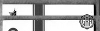 Back Edges (Top/Bottom)