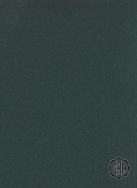 Front (Angled Light)