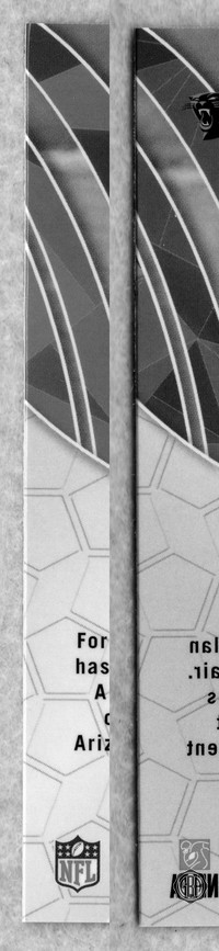Back Edges (Left/Right)