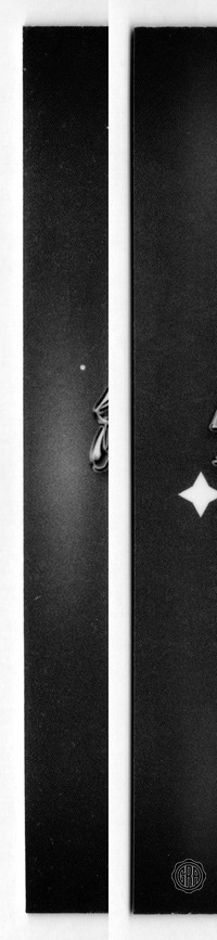 Back Edges (Left/Right)