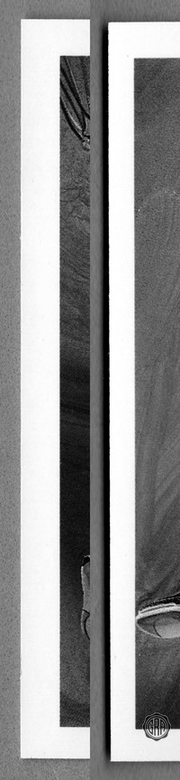 Front Edges (Left/Right)