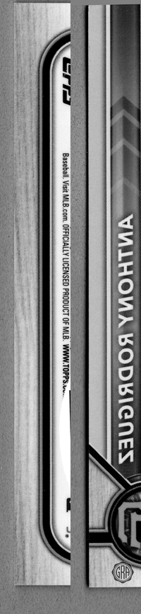 Back Edges (Left/Right)