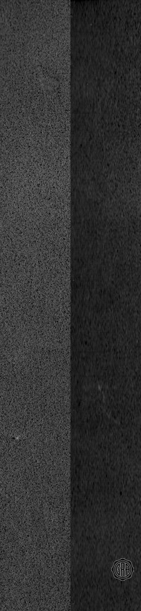 Back Edges (Left/Right)