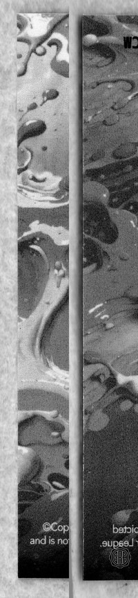Back Edges (Left/Right)