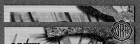 Front Edges (Top/Bottom)
