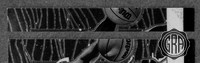 Front Edges (Top/Bottom)