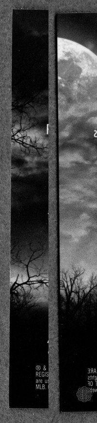 Back Edges (Left/Right)