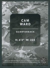 Back (Angled Light)