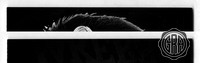 Front Edges (Top/Bottom)