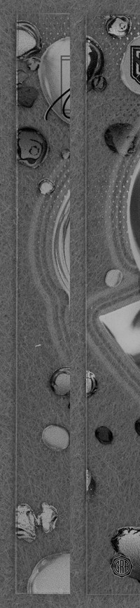 Front Edges (Left/Right)