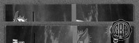 Back Edges (Top/Bottom)