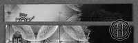 Front Edges (Top/Bottom)